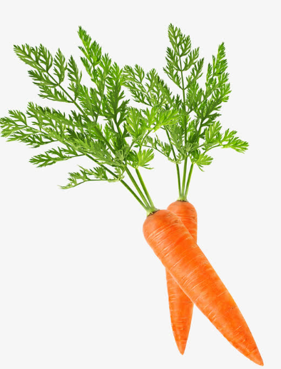 20/100/200pcs Tendersweet Carrot Seed for Planting - Packet with Instructions to Grow Long Crunchy Orange Carrots in Your Home Vegetable Garden - Non-GMO Heirloom Variety - Survival Garden Seeds(20pcs)