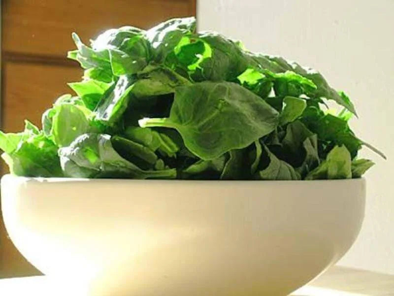 20+/100+/200+ Malabar SPINACH Spinacia Oleracea Vegetable Seeds(20+)